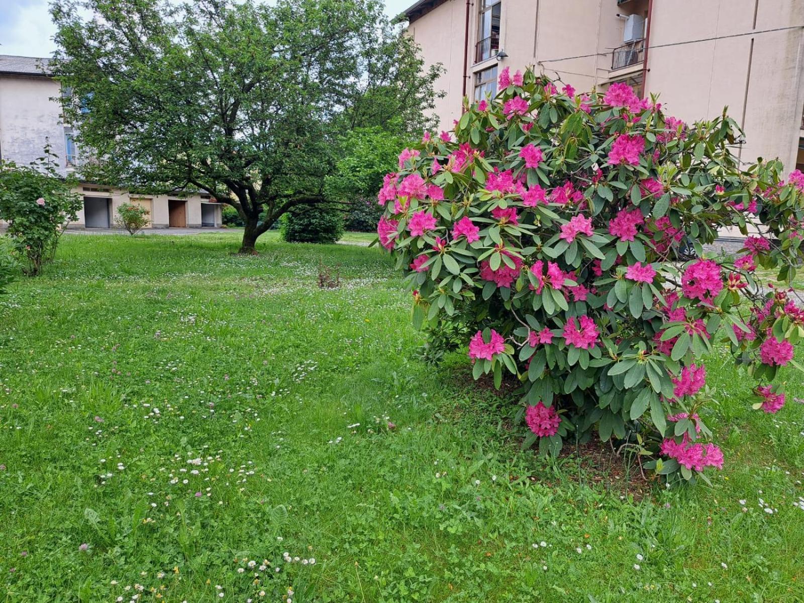 Seraval Valsesia Apartment Serravalle Sesia المظهر الخارجي الصورة