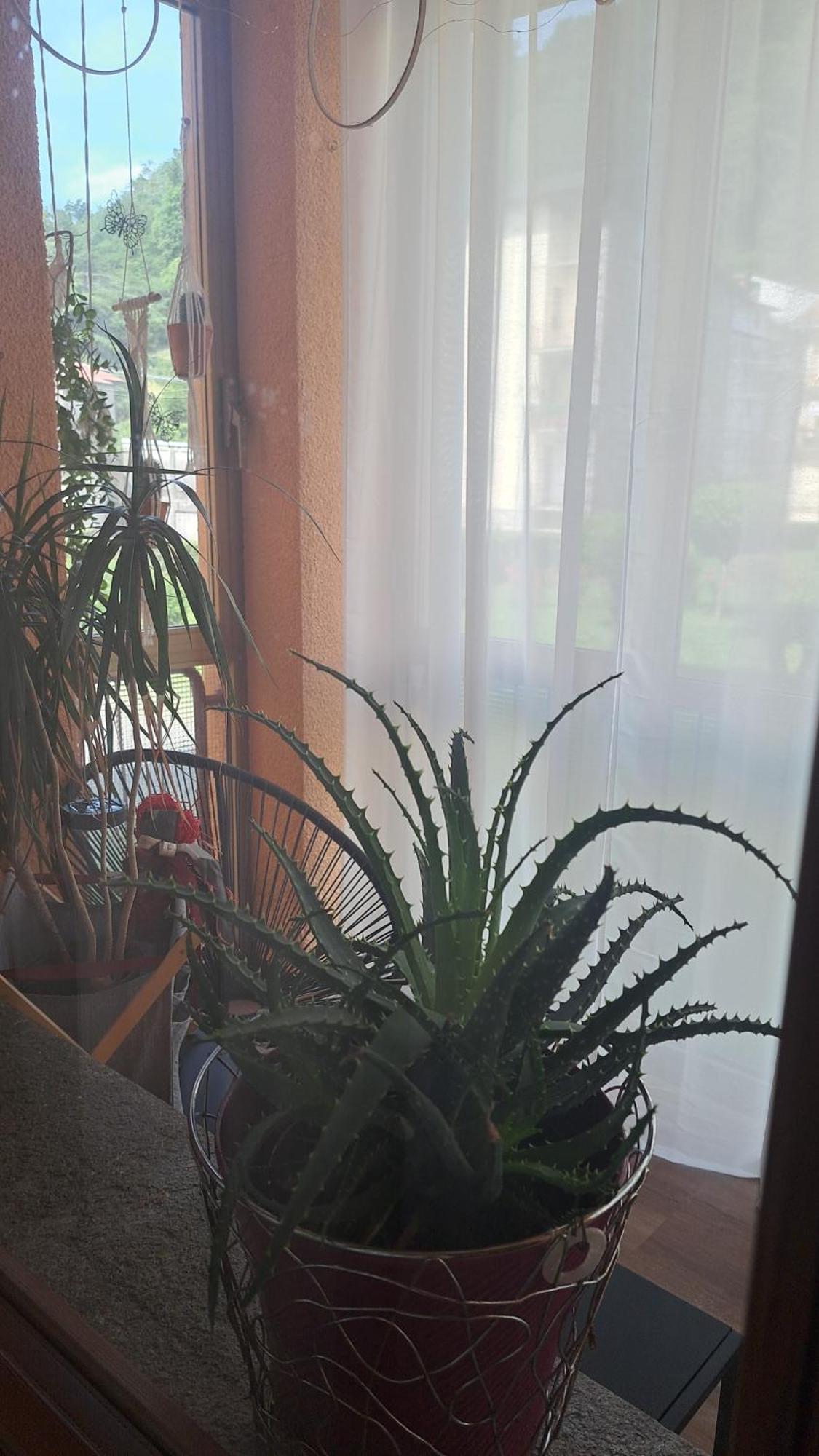 Seraval Valsesia Apartment Serravalle Sesia المظهر الخارجي الصورة